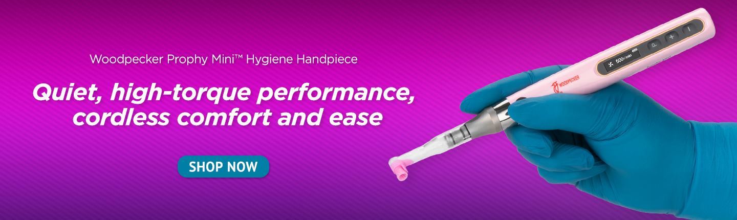 Woodpecker Prophy Mini Hygiene Handpiece